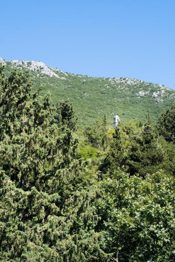 La Olga Apartment Lefkada Sívros Exterior foto